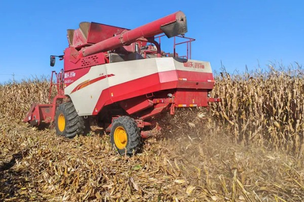 大型玉米收割机的常见问题，常见的有脱粒滚筒转动不稳定或异常
