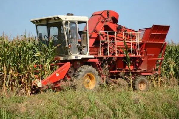 大型玉米收割机的常见问题，常见的有脱粒滚筒转动不稳定或异常