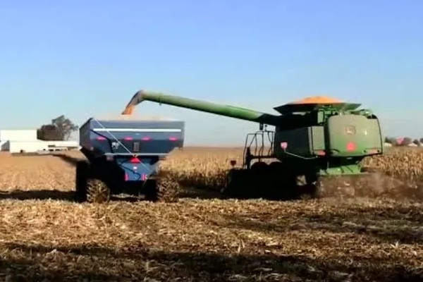 大型玉米收割机的常见问题，常见的有脱粒滚筒转动不稳定或异常