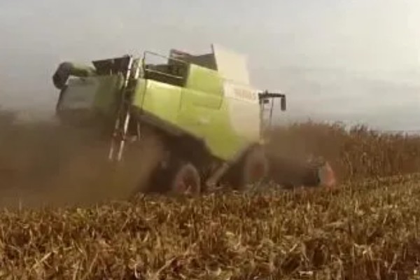 大型玉米收割机的常见问题，常见的有脱粒滚筒转动不稳定或异常