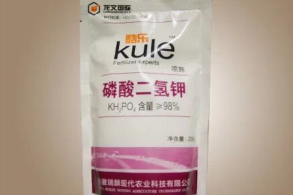 蟹爪兰有花苞了怎么养才能多开花，要为其提供充足的养分