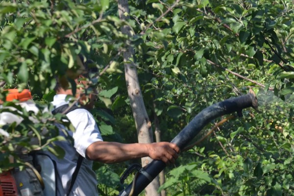 甲嘧磺隆的使用方法，一般兑水稀释喷雾