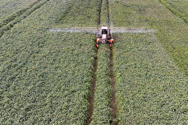 杀虫气雾剂喷不出来怎么弄，可以将喷嘴拆下来清洗一下