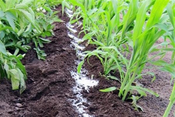 杀虫气雾剂喷不出来怎么弄，可以将喷嘴拆下来清洗一下