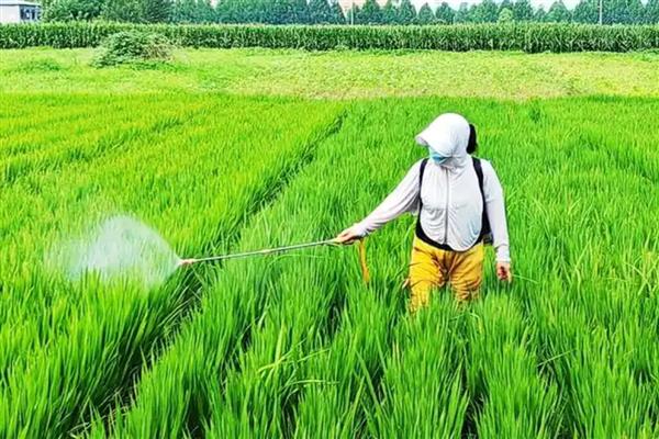 杀虫气雾剂喷不出来怎么弄，可以将喷嘴拆下来清洗一下