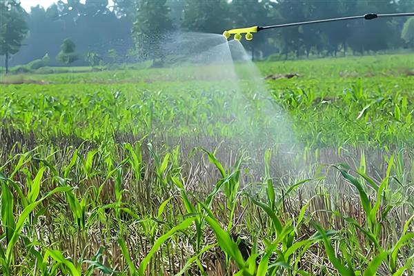 四聚乙醛的使用方法，选择在早晨或者傍晚时分喷洒