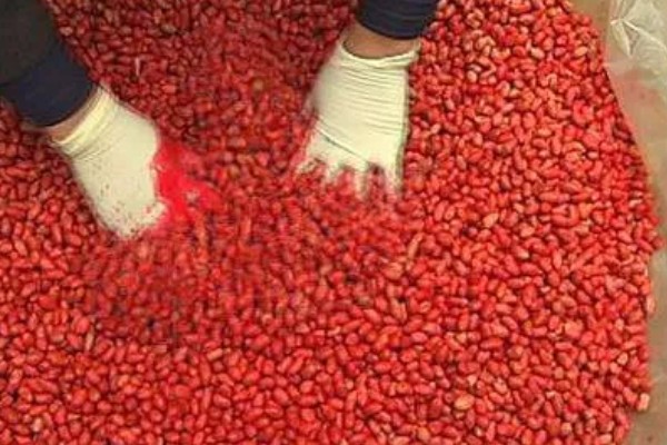 玉米怎么施肥，种肥可拌种、浸种、条施、穴施