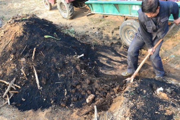 玉米怎么施肥，种肥可拌种、浸种、条施、穴施