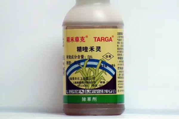 用什么土壤种植五味子，选择背阴坡深林边缘及疏林地