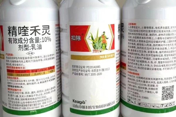 用什么土壤种植五味子，选择背阴坡深林边缘及疏林地