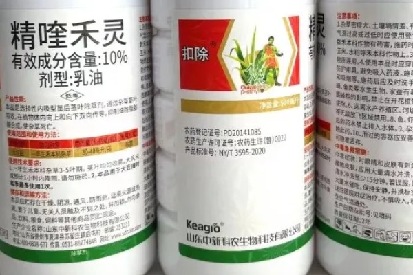 用什么土壤种植五味子，选择背阴坡深林边缘及疏林地