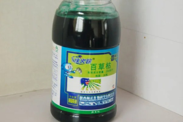 用什么土壤种植五味子，选择背阴坡深林边缘及疏林地