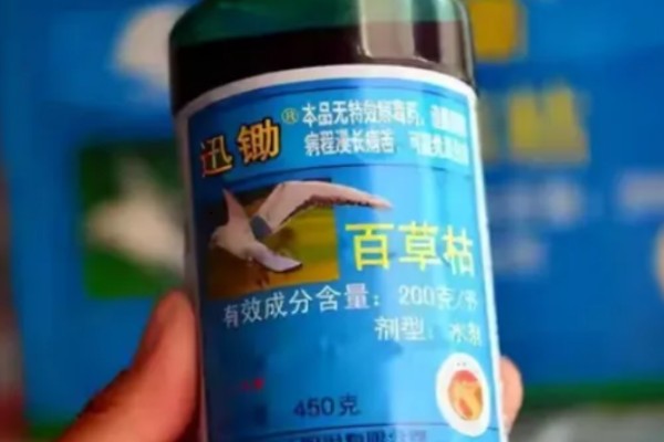 用什么土壤种植五味子，选择背阴坡深林边缘及疏林地