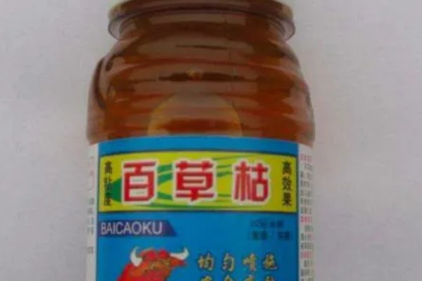 用什么土壤种植五味子，选择背阴坡深林边缘及疏林地