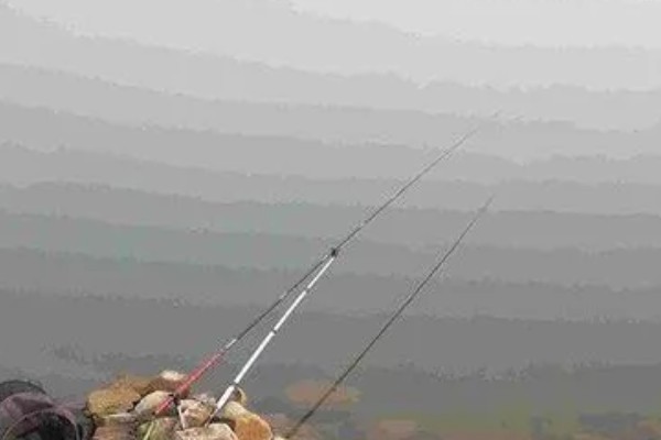 七星漂朝天钩的钓鱼技巧，一般来选择活饵比较合适