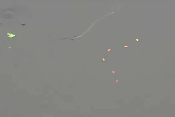 七星漂朝天钩的钓鱼技巧，一般来选择活饵比较合适