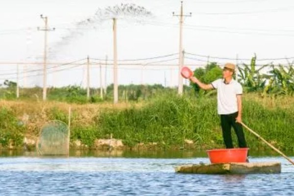 养虾的调水方法，要控制肥水程度