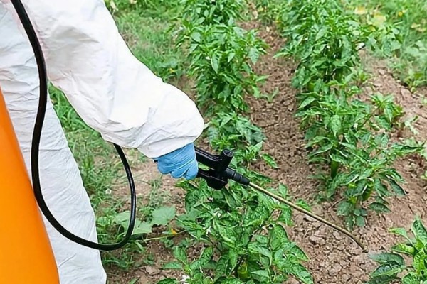 生物源农药是什么，利用生物体或生物提取物制成的农药