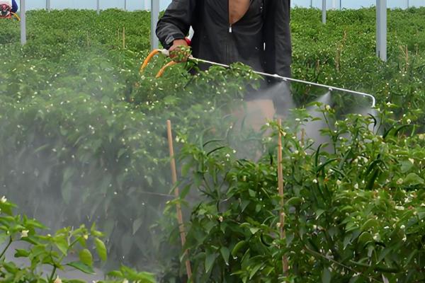 如何利用蔬菜配制新农药,不同作物配制的方法不同