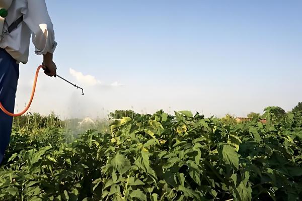 如何利用蔬菜配制新农药,不同作物配制的方法不同