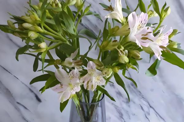 怎么水养水仙百合，需要对花枝进行修剪