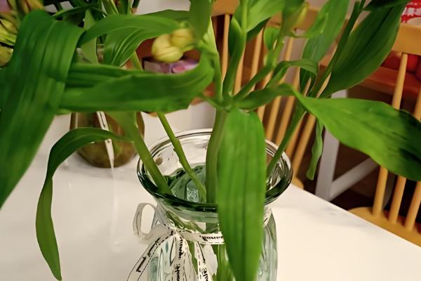 怎么水养水仙百合，需要对花枝进行修剪