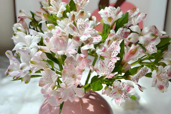 怎么水养水仙百合，需要对花枝进行修剪