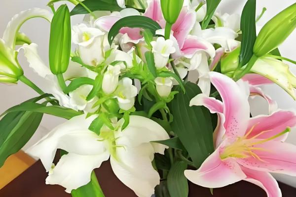 怎么水养水仙百合，需要对花枝进行修剪