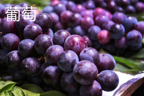 冬天多吃什么水果，推荐柑橘、甘蔗等