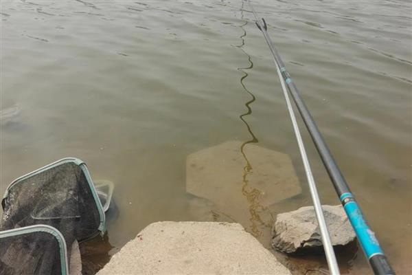 滑漂钓法用什么竿,一般用矶竿