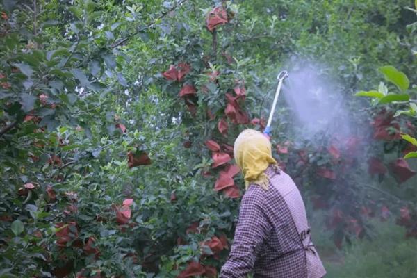 保管农药的措施,主要有以下6点