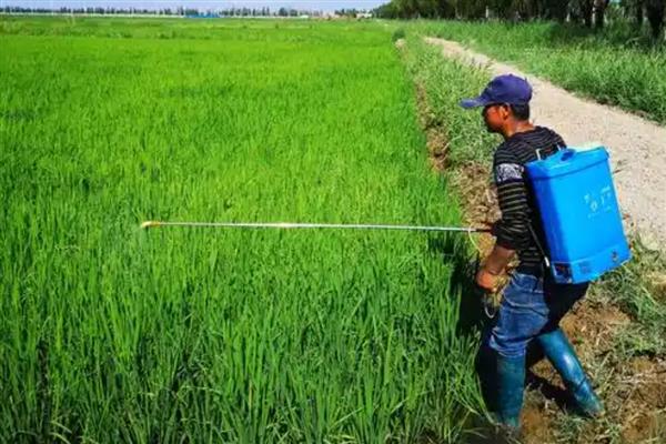 保管农药的措施,主要有以下6点