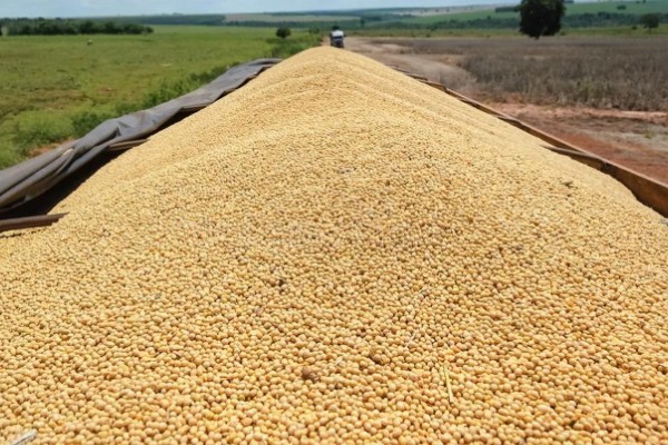 中国大豆进口的主要国家,有巴西、美国、阿根廷等