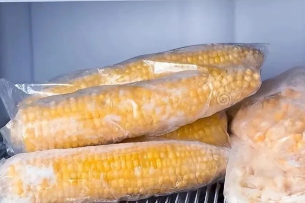 玉米种类一共有几种,可分为马齿型、硬粒型、半马齿型等