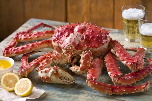 帝王蟹简介,是现存最大的甲壳动物之一