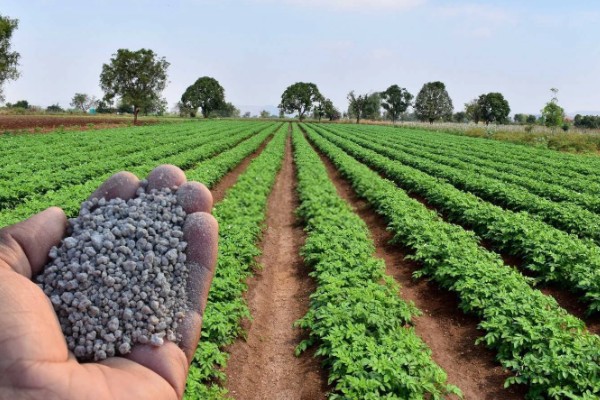 国内有什么新型肥料，包括水溶肥、生物肥等种类