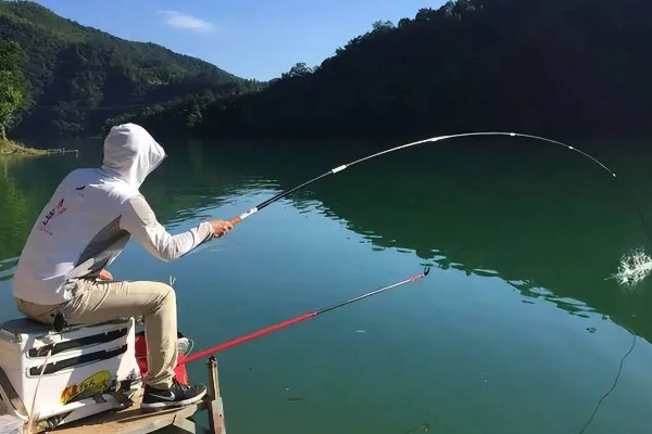 钓白条鱼适合用几号钩,选择1-4号袖钩、1-3号秋田狐钩等钩型