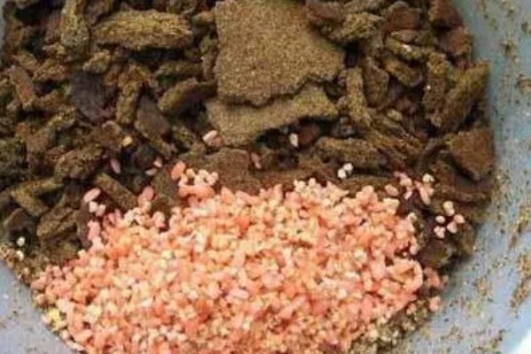 钓白条鱼适合用几号钩,选择1-4号袖钩、1-3号秋田狐钩等钩型