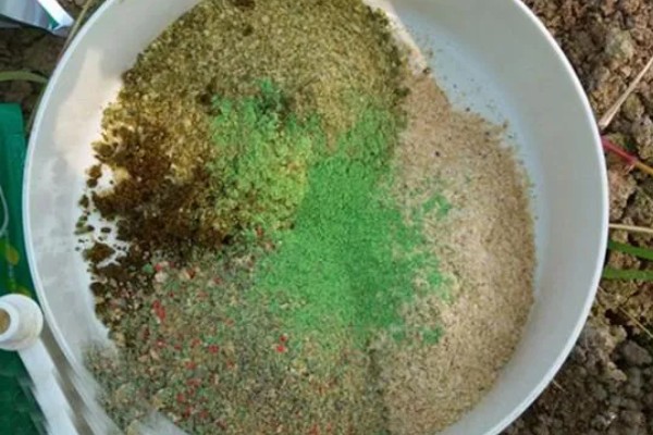 钓白条鱼适合用几号钩,选择1-4号袖钩、1-3号秋田狐钩等钩型