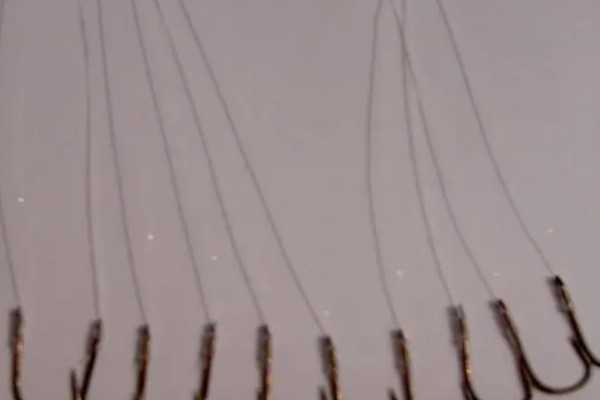 钓白条鱼适合用几号钩,选择1-4号袖钩、1-3号秋田狐钩等钩型