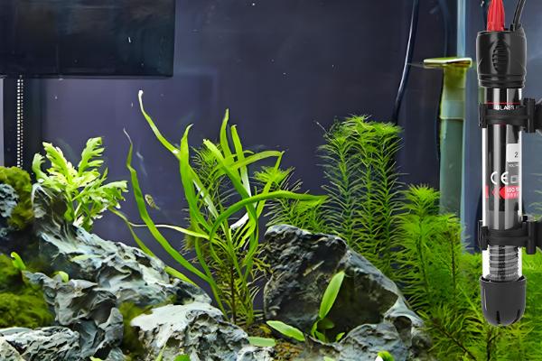 鱼缸的适宜尺寸，取决于鱼类的体型