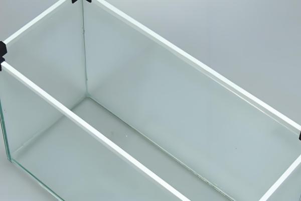 鱼缸的适宜尺寸，取决于鱼类的体型