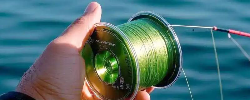 0.8号子线可以钓几斤重的鱼，垂钓重量一般是2-3斤