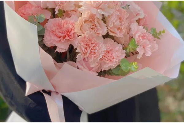 康乃馨的赠送对象，母亲、爱人、恋人均可赠送