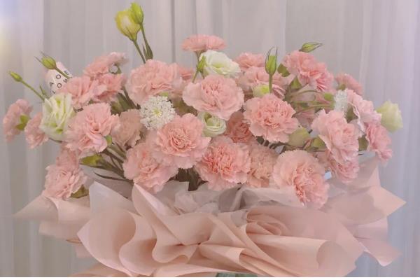 康乃馨的赠送对象，母亲、爱人、恋人均可赠送