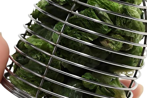 虾吃什么食物，幼虾以枝角类、桡足类浮游生物为食