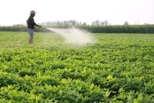 施肥后能马上浇水吗，施肥后可以马上浇水