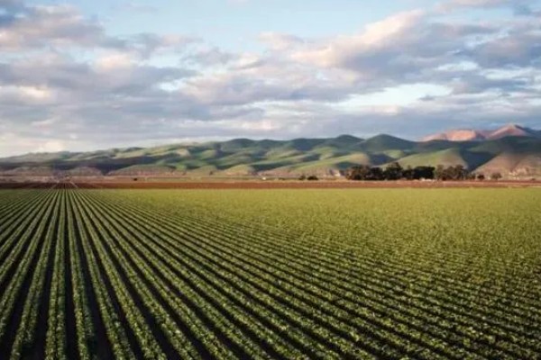 美国农业发展的不利和有利条件，其农业机械化水平较高