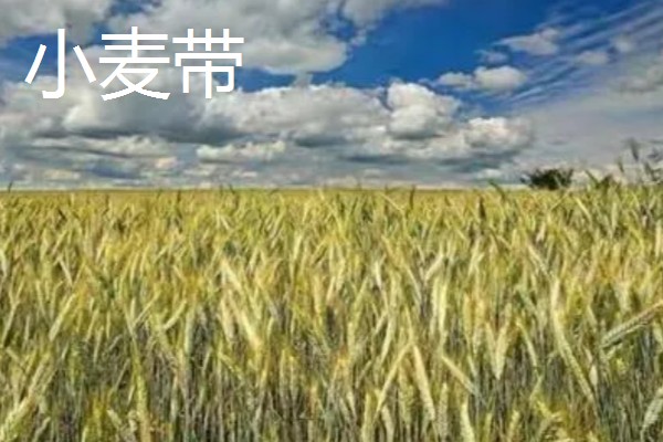 美国农业发展的不利和有利条件，其农业机械化水平较高