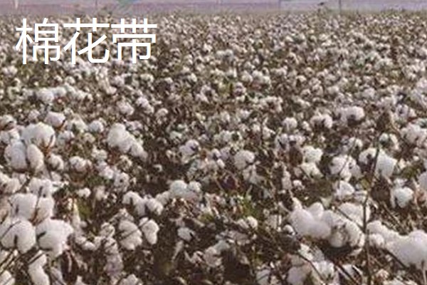 美国农业发展的不利和有利条件，其农业机械化水平较高